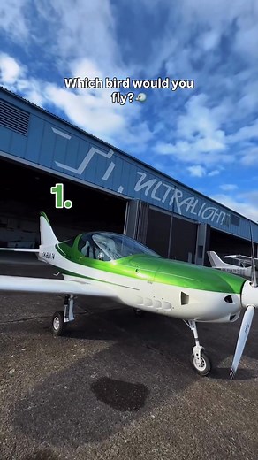 103K views · 1.3K reactions | Choose wisely… your wings say a lot about you 狼✈️ | TL-ULTRALIGHT | Facebook