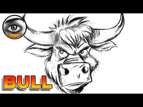 how to draw a bull