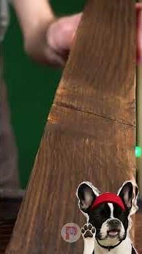 🐱 HOW TO BUILD AN AQUARIUM TV FISH TANK FOR YOUR CAT!