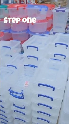 5 MINUTES to a PERFECT Mini Greenhouse with Plastic Storage Bins