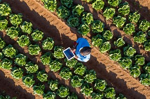 What Is Data Accuracy? | IBM