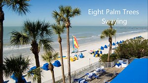 23 reactions · 13 comments | DoubleTree Beach Resort by Hilton on Reels | Facebook