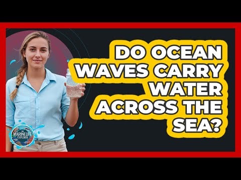 Do Ocean Waves Carry Water Across The Sea?