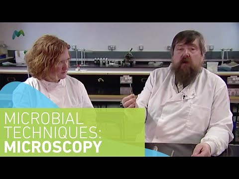 Microbiology Techniques: Microscopy