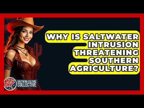 Why Is Saltwater Intrusion Threatening Southern Agriculture? - Southern Culture Collective