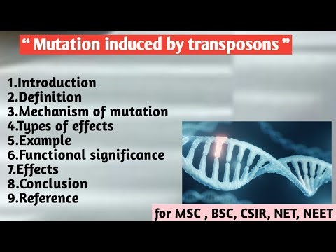 Mutation induced by transposon | Mechanism | Types of effects | Example | Functional significance