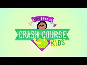 Crash Course Kids Preview!