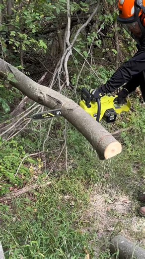 Have you gotten your hands on the 𝗡𝗘𝗪 40V HP Brushless 16" Chainsaw? 💪⁠ ⁠ ✅️ Over 60 cuts per charge⁠ ✅️ Cuts up to 28"⁠ ✅️ More power than a 40cc gas chainsaw⁠ ⁠ Pro tip: Pair it with the 40V EDGE battery for even more power & runtime. ⁠ ⁠ Shop today >> go.ryo.bi/0Nc7ub ⁠ 📸: @rootedlawnco | RYOBI TOOLS USA