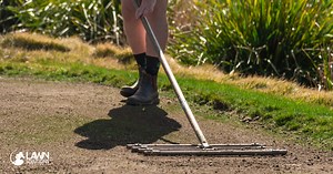 How To Top Dress Your Lawn