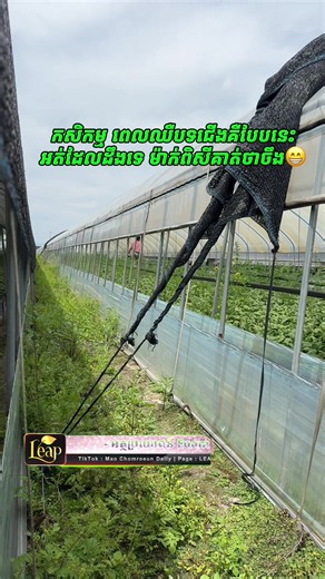 ម៉ាក់ពិសីអ្ហើយខ្ញុំគាំង😁🫶@LEAP KR #cambodia🇰🇭 #대한민국 #ពលករកូរ៉េ🇰🇷❤️🇰🇭 #foryou #fyp