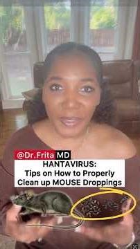 🐁 Hantavirus Outbreak Facts: Why Cleaning Your Attic Wrong Is More Dangerous Than You Think