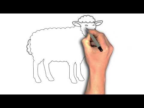 How to Draw a Woolly Sheep” tutorial