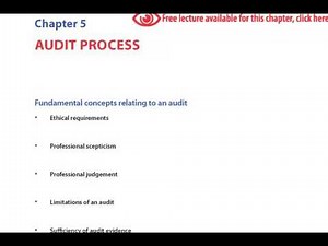 Audit Process