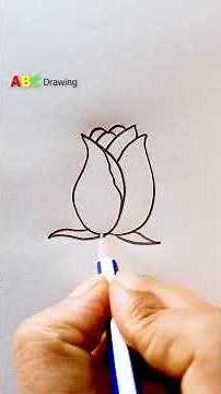 Easy Rose Drawing for Beginners | Simple Flower Art Tutorial