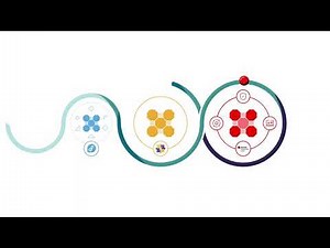 CentOS Stream - What is it?