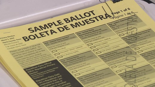 What's on the ballot? How to look up your sample ballot ahead of Election Day