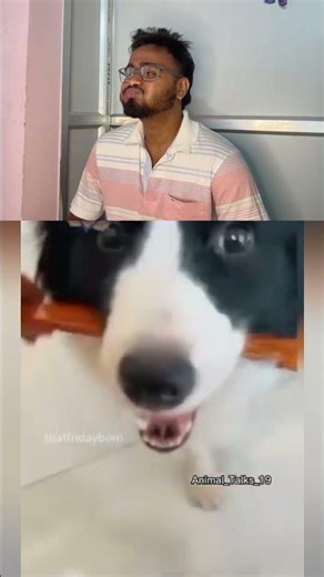 Wait for end 🤣#contentcreator #shortscreator #reelscreator #petcontent #funnycontent