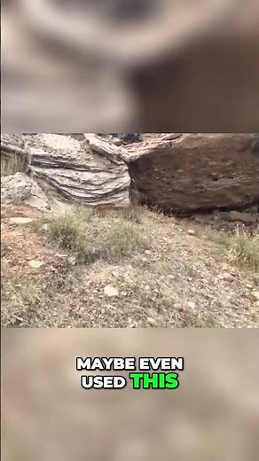 What is a Dynamo? Discover its Power and History