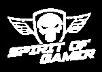 Spirit of Gamer