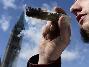 For investors, the cannabis roller-coaster may just be getting started