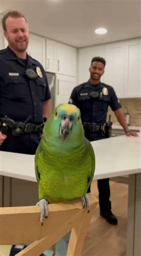 🦜 The Parrot Exposes the Officer’s Wife! 😂 | Viral Talking Parrot Comedy 2025 | Funny Short