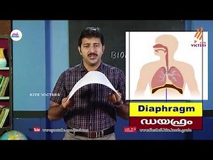 First Bell 2.0 STD 09 Biology Class 20