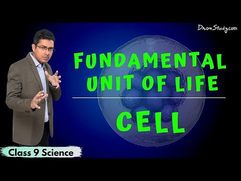 Fundamental Unit Of Life - CELL | CBSE Class 9 Science | Free Education