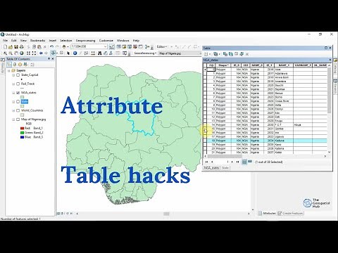 ArcGis Attribute Table