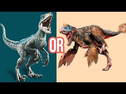 VELOCIRAPTOR: 10 Facts You Should Know About This Dinosaur