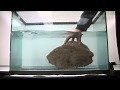 Floating and sinking teaching resources - the science teacher