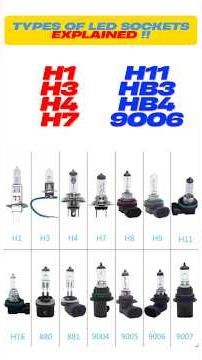 Most People Don’t Know These LED Socket Types! 😳🚗 #shorts #ledlights