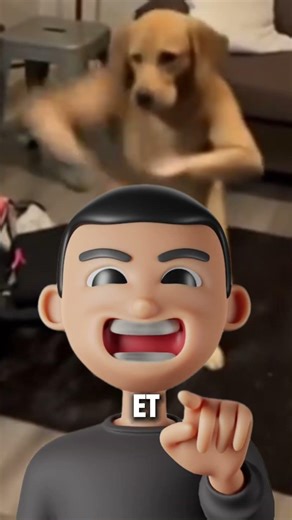 Comment créer un plugin minecraft FACILEMENT #minecraft #minecraftfr #plugin #meme