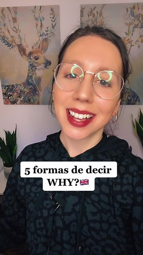 Different Ways to Say Why in English