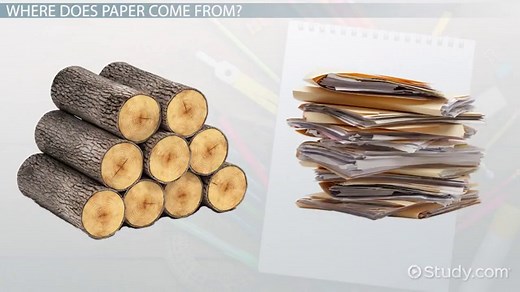 How is Paper Made? - Lesson for Kids