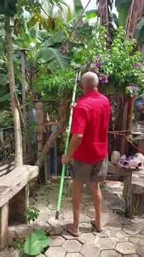 Veja na prática como funciona podadeira de árvore de uma esmerilhadeira elétrica caseira!#shorts