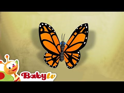 Butterfly 🦋​ Riddle Games With Animals | Animal for Toddlers ‪@BabyTV‬