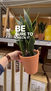 29K views · 228 reactions | Find affordable and stylish decor additions that suit any style | Lowe's Home Improvement | Facebook