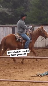 182K views · 2.4K reactions | Colt starting season may be near the...