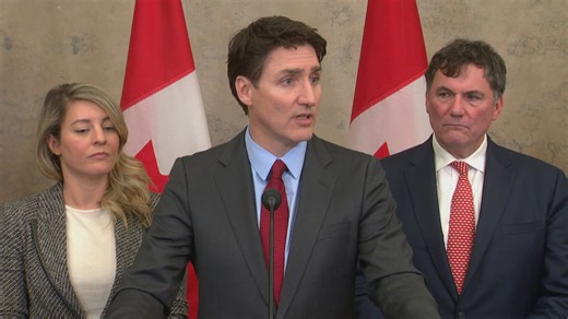 Trudeau on U.S. tariffs: 'We didn't ask for this, but we will not back down'