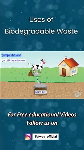 Uses of Biodegradable Waste | Biodegradable and Non-Biodegradable Waste | Waste Management