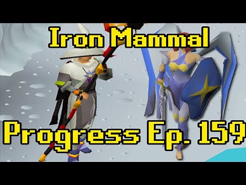 Is The Shadow Good at Sara? | Iron Mammal Progress Ep. 159