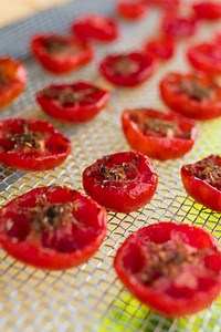 14 Easy Homemade Solar Dehydrator Plans
