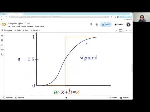 sigmoid function - python - deep learning - p1