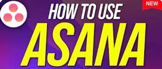 How To Use Asana For Beginners