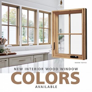91 reactions · 17 shares | JELD-WEN's wood and clad-wood windows include interior color options to help make bold statements throughout the home. | JELD-WEN Windows & Doors | Facebook