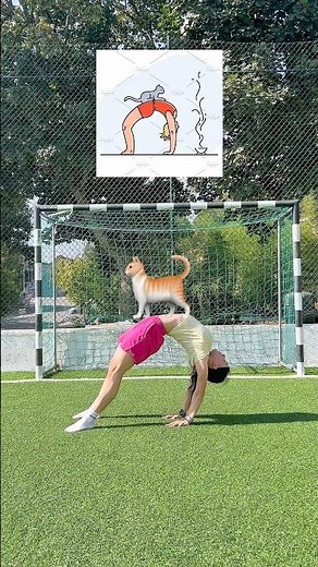 Cat Yoga Challenge 🐾 How flexible are you?