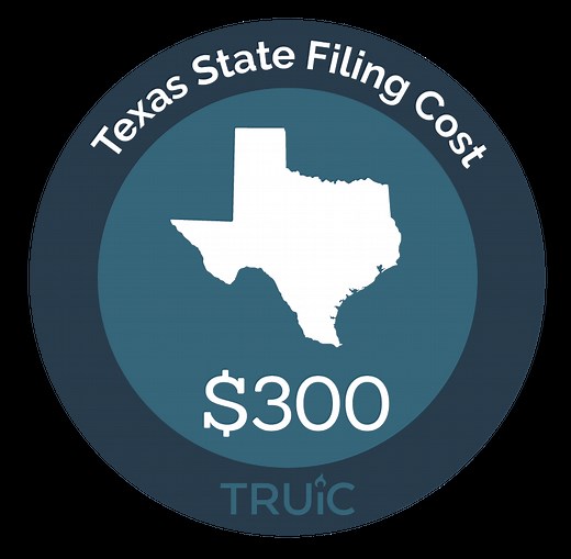 How to Start an LLC in Texas (2026) - Step By Step Guide