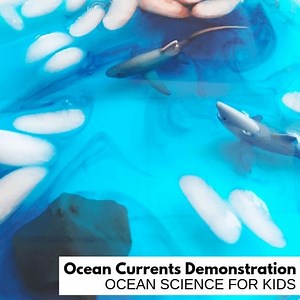 Ocean Currents Activity