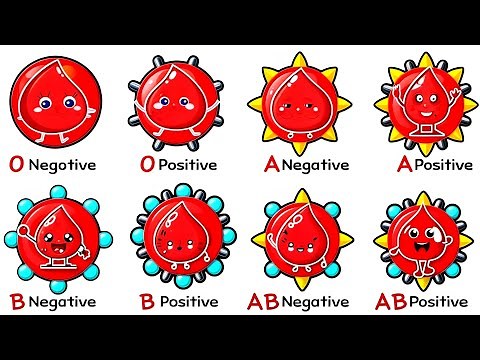 Every Blood Type Explained in 5 Minutes