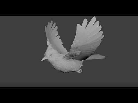 Bird Flying Animation
